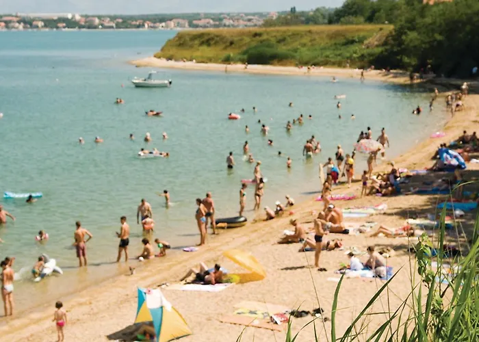 Vrsi-mulo 02 * ヴーシ